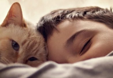 Çocukken Kedi Sahibi Olan Erkeklerin Psikoz Riski Daha Yüksek Çıktı