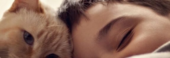 Çocukken Kedi Sahibi Olan Erkeklerin Psikoz Riski Daha Yüksek Çıktı