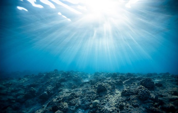 5,500 New RNA Virus Species Discovered in the Ocean – Tracing the Origins of Viruses and the Origins of Life