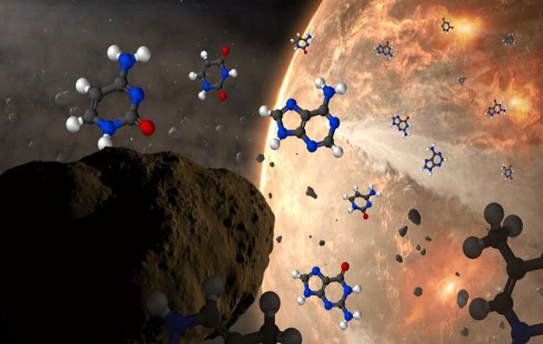 Could the blueprint for life have been generated in asteroids?