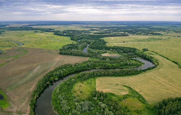 Eski Avcı Toplayıcı