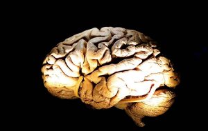 Beyinde Yeni Bir İletişim