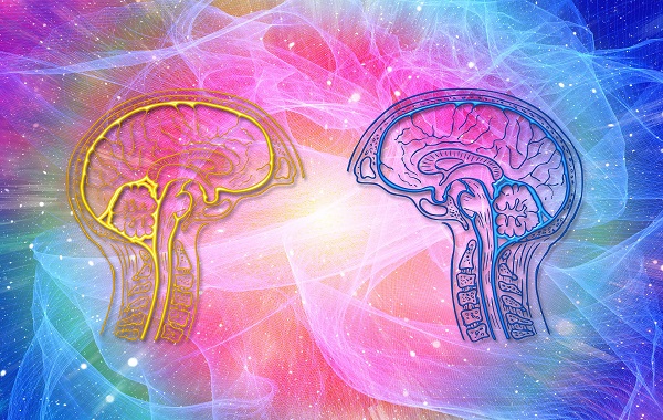 Experiment Suggests That Consciousness May Be Rooted in Quantum Physics
