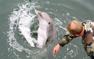 Russia reportedly recruits trained dolphins to protect its navy in the Ukraine war