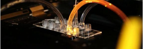 A million times faster: DNA nanotechnology could speed up pharmaceutical development while minimizing costs