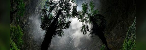 Giant sinkhole with a forest inside found in China