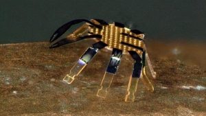 Dünyanın En Küçük "Uzaktan Kumandalı" Robotları İcat Edildi