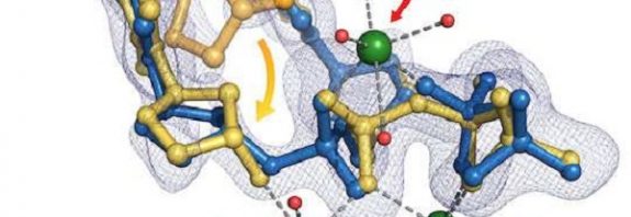 Crystal study may resolve DNA mystery