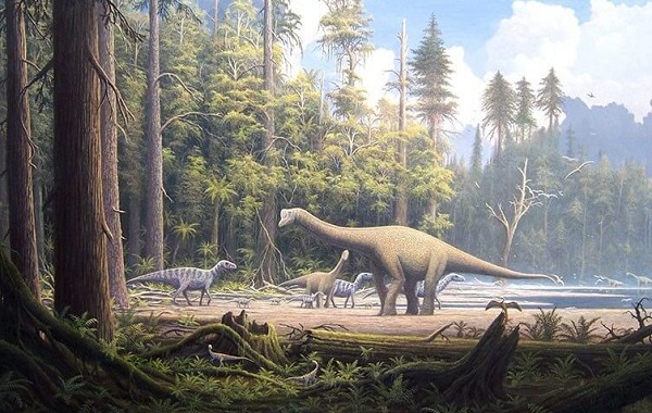 Fossils of Leaves In Borneo Reveal An Ancient 4 Million Year Old Forest