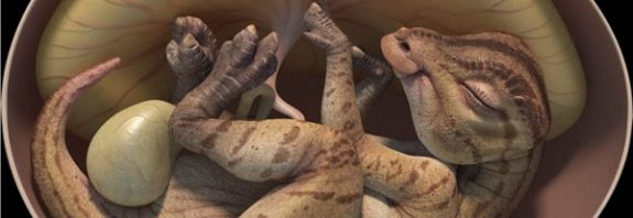66 Milyon Yıl Öncesine Ait Nadir Bulunan Dinozor Embriyoları Keşfedildi