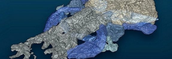390 Milyon Yıllık Balık Benzeri Yaratık İnsanlar Dahil 4 Uzuvlu Hayvanların Atası mı?