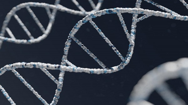 ABD'li Profesörler Uyardı: "Ünlülerin DNA'sını Çocuk Yapmak İçin Çalabilirler"