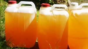 Nijerli Tarımcılar Sadece İdrar Kullanmaya Başladı: Verimliliği Bilimsel Olarak Kanıtlandı