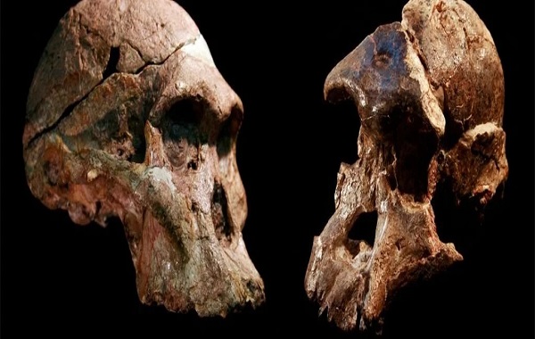 Cradle of Humankind Fossils May Be a Million Years Older Than Previously Thought