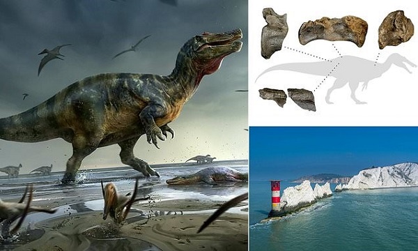 Timsah Yüzlü Dinozor Keşfedildi: Avrupa'da Dolaşan En Büyük Yırtıcı Olabilir