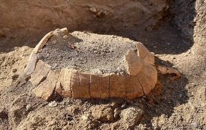 Pompeiide 2 Bin Yıllık Hamile Bir Kaplumbağa ve Yumurtası Keşfedildi