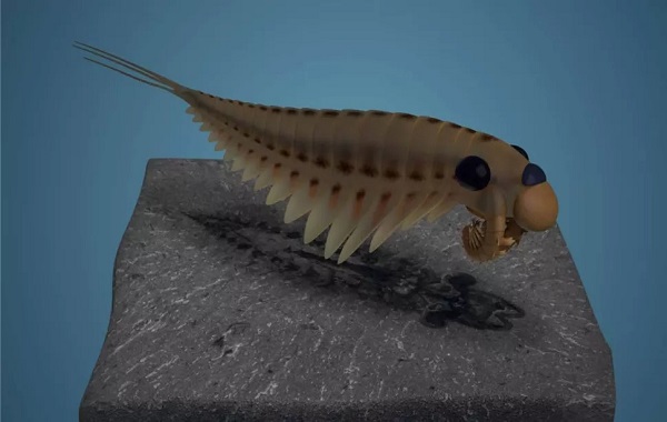 Astonishing 500 million-year-old fossils preserved the brain of this creepy 3-eyed predator