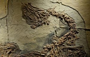 Dinozorlar Kesinlikle Dondurucu Kışları Yaşamıştı. Tüylü Olma İhtimalleri Arttı!