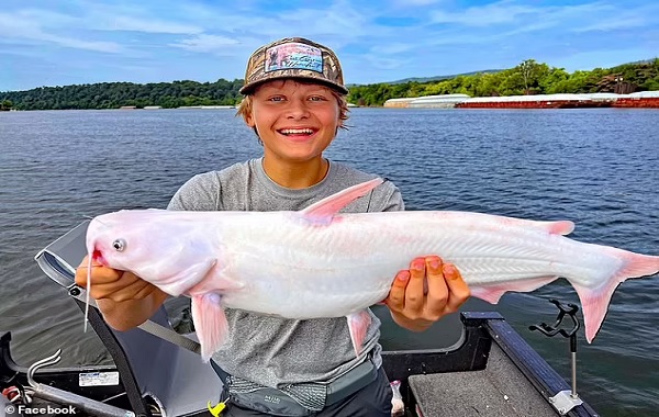 Catch of a lifetime: 15-year-old boy hooks a rare all-white catfish with stunning pink and purple highlights while fishing in Tennessee