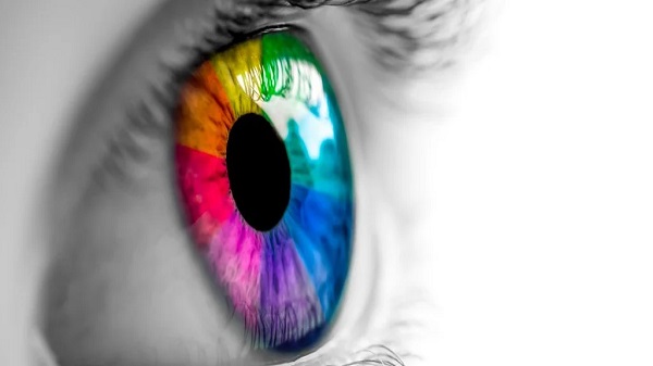 Ancient Light-Capturing Proteins We Rely