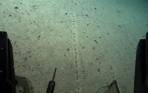 Strange alien holes discovered on the ocean floor