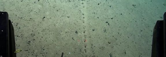 Strange alien holes discovered on the ocean floor