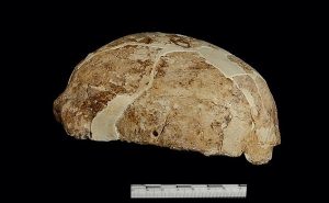 Çindeki 14.000 yıllık fosillerin DNA'sı, Yerli Amerikalıların Kökenini Gösteriyor