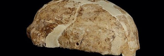 Çindeki 14.000 yıllık fosillerin DNA'sı, Yerli Amerikalıların Kökenini Gösteriyor