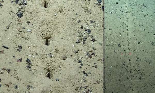 Atlantik Okyanusunun Tabanında, İnsan Yapımı Kazılara Benzer Delikler Keşfedildi