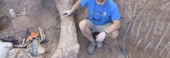 Arjantinde Oldukça İlginç Özelliklere Sahip Bir Dinozor Keşfedildi