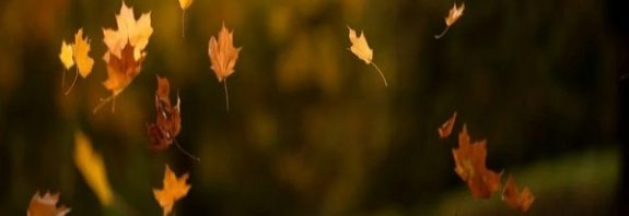 Bilim İnsanları Bulunması Zor Olan Yerçekimi Sabitini Ölçmek İçin Bir Yol Geliştirdi