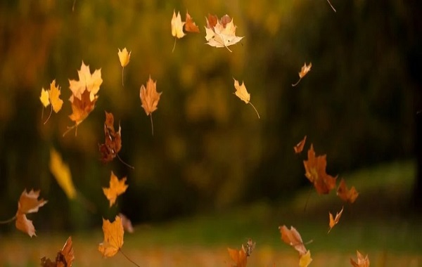 Bilim İnsanları Bulunması Zor Olan Yerçekimi Sabitini Ölçmek İçin Bir Yol Geliştirdi