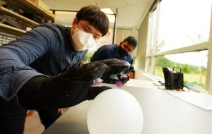 Ahtapotun Dokunaçları, Vantuzlu Eldiven Yapımına İlham Oldu