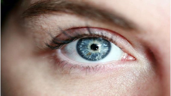 Researchers Seek Genes Responsible For Good Eyesight