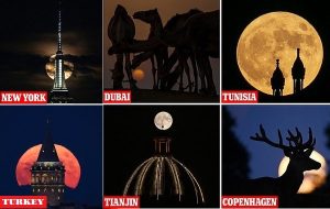 Did YOU see it? Stunning photos show last night's SUPERMOON as it rose over London, Milan and New York – with our lunar satellite appearing 30% bigger and brighter