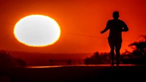 Olası Patlama Uyarıları Sürerken, Güneş'te Devasa Yapılar Tespit Edildi