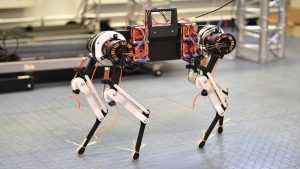 Doğadaki Hayvanlar Gibi Tasarlanan Robot Köpek, Yürümeyi Bir Saatte Öğrendi
