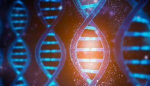 Research Team Models Moving 'Washers' That Help DNA Replicate