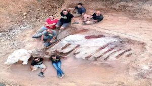 Portekiz de Bahçesini Kazan Adam Avrupa nın En Büyük Dinozor Fosilini Bulmuş Olabilir