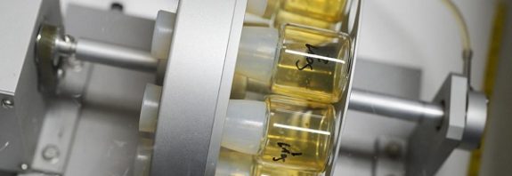 Bilim İnsanları Sperm Ve Yumurtaya İhtiyaç Duymadan Embriyolar Üretti