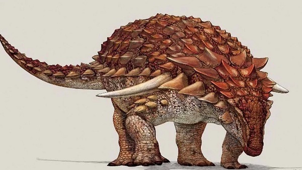 Küçük Bir Kedi Kadar Hafif Dikenli Dinozor Türü Keşfedildi Yaklaşık 100 Milyon Yıl Önce Yaşamış