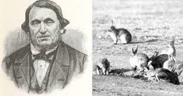 Avustralya nın Kontrol Edilemeyen Tavşan İstilasından Gerçekten Bir İngiliz Sorumlu