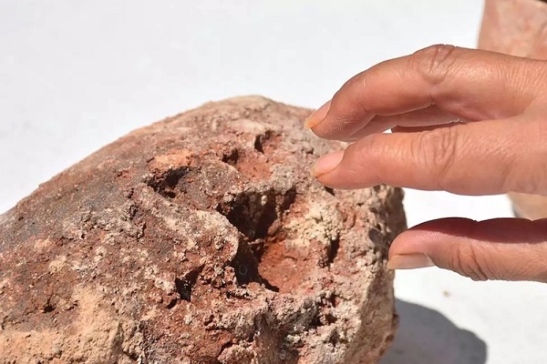 Ulucak Höyüğü nde 8000 Yıllık Parmak İzleri Bulundu