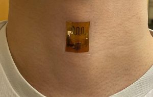 Dead-Bug Biofilm Creates Powerful Evaporation Battery