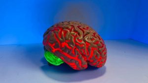 A new drug could repair stroke damage to memory and movement