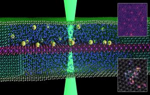 Scientists Reveal The First Images of Atoms 'Swimming' in Liquid