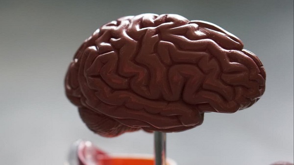 Ölümcül Bir Kanser Türünün Beyni Ele Geçirerek Kendini Tedavi Edilemez Kıldığı Keşfedildi