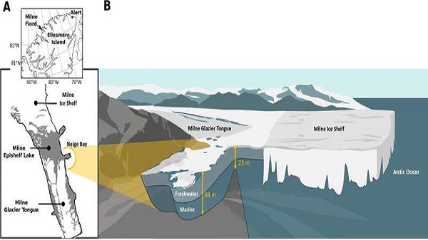 Microbiologists study giant viruses in climate endangered Arctic Epishelf Lake