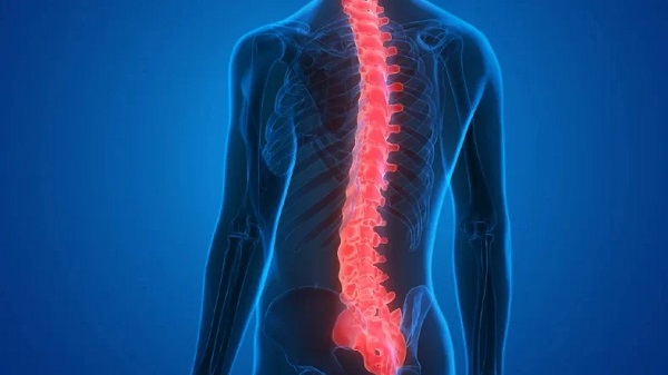 Dans Eden Moleküllerle Felci Bile Düzelten Omurilik Tedavisi Geliştirildi