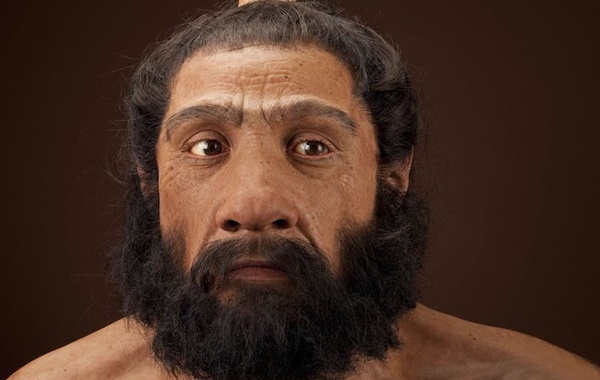 İnsanların Neandertallerle